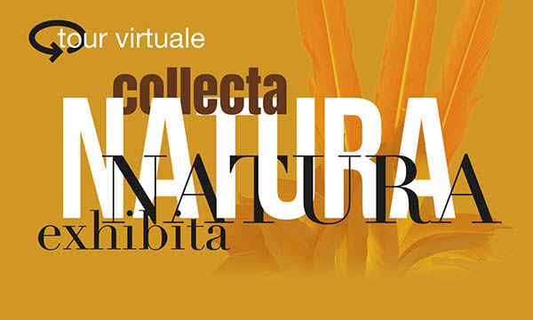 Tour virtuale