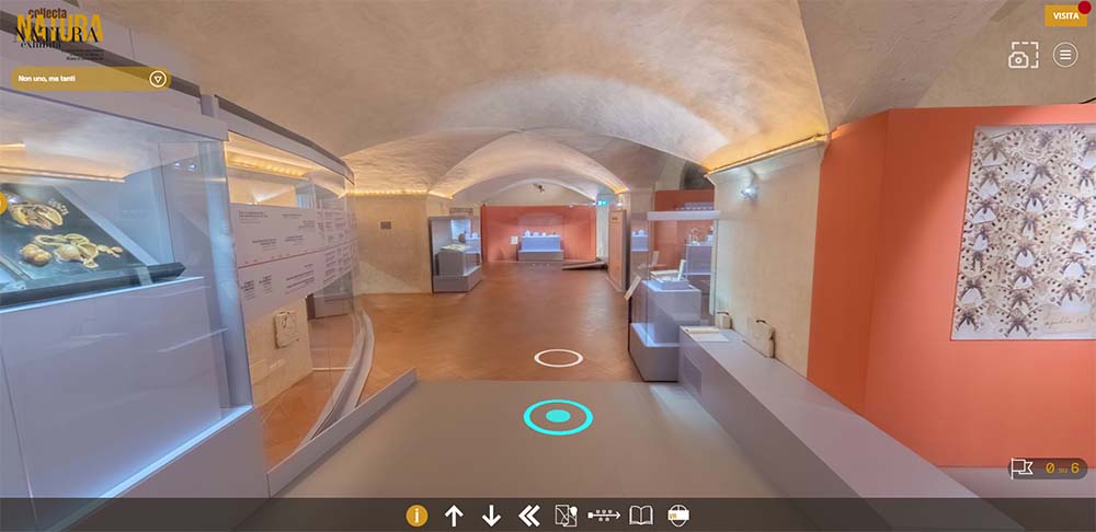 Una delle scene del tour del virtuale del percorso espositivo